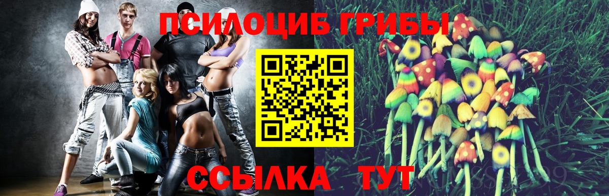 Галлюциногенные грибы прущие грибы  Галлюциногенные грибы Psilocybine cubensis  Вход с VPN  Кизилюрт 