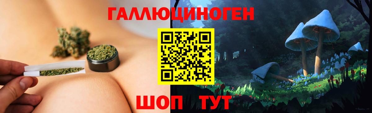 Галлюциногенные грибы Cubensis Кизилюрт